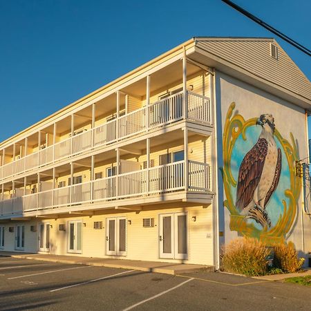 漂流沙滩酒店 Ship Bottom 外观 照片