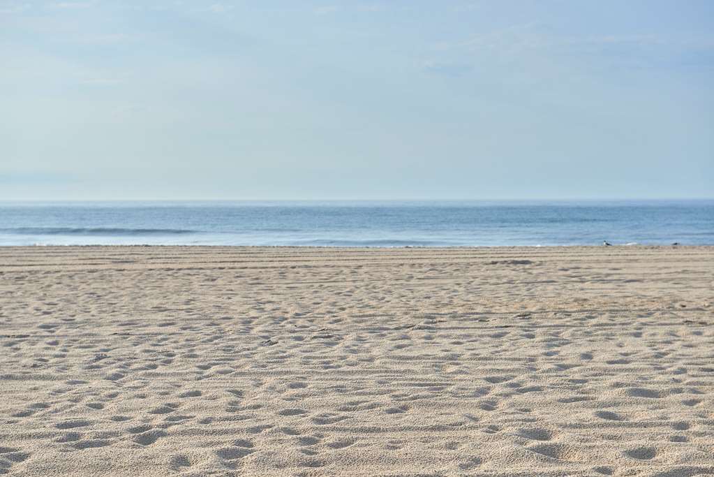 Drifting Sands Oceanfront Hotel Ship Bottom 外观 照片